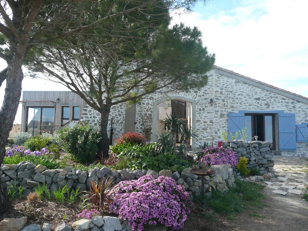Domaine Castelsec Villa Roquefort-des-Corbieres Ruang foto
